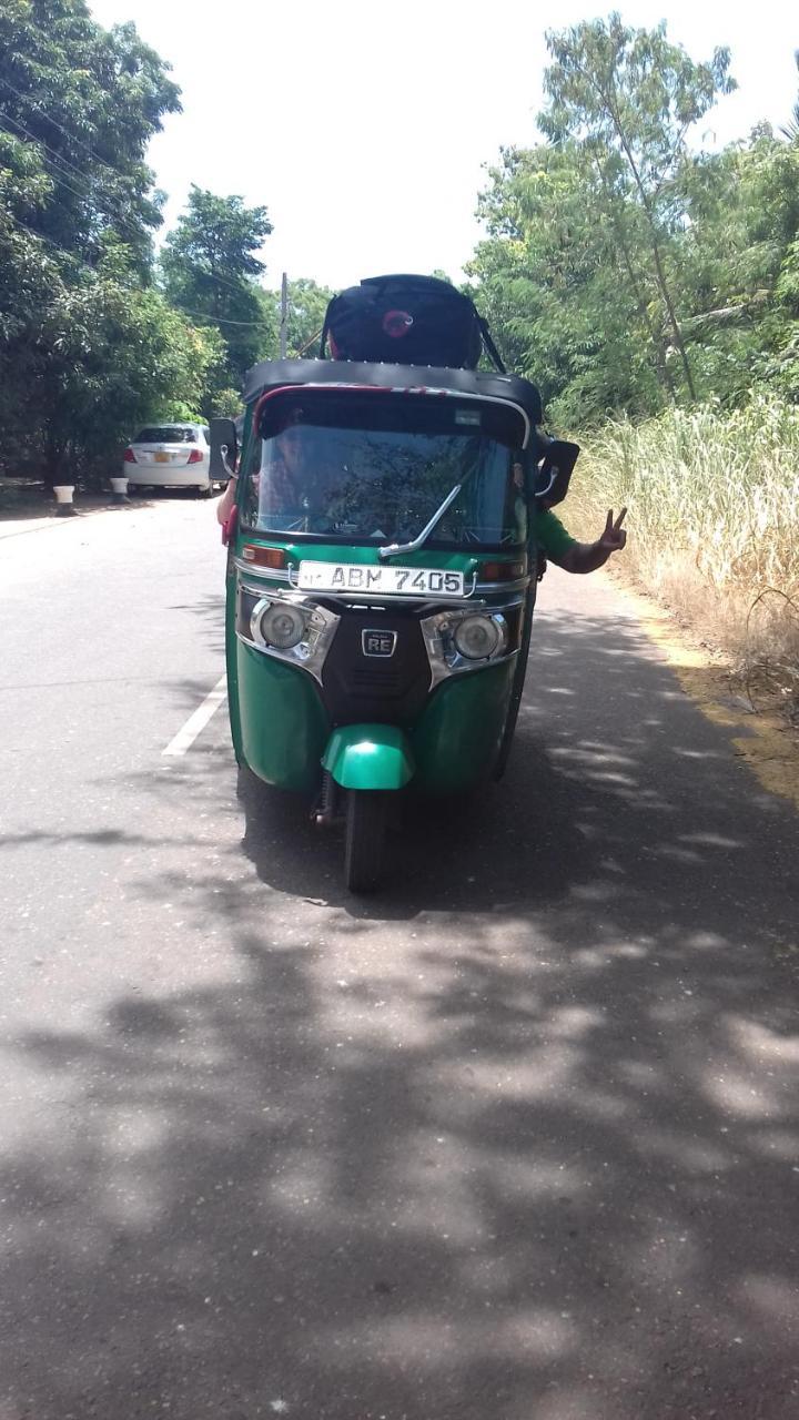 Wilpattu Dolosmahe Esterno foto