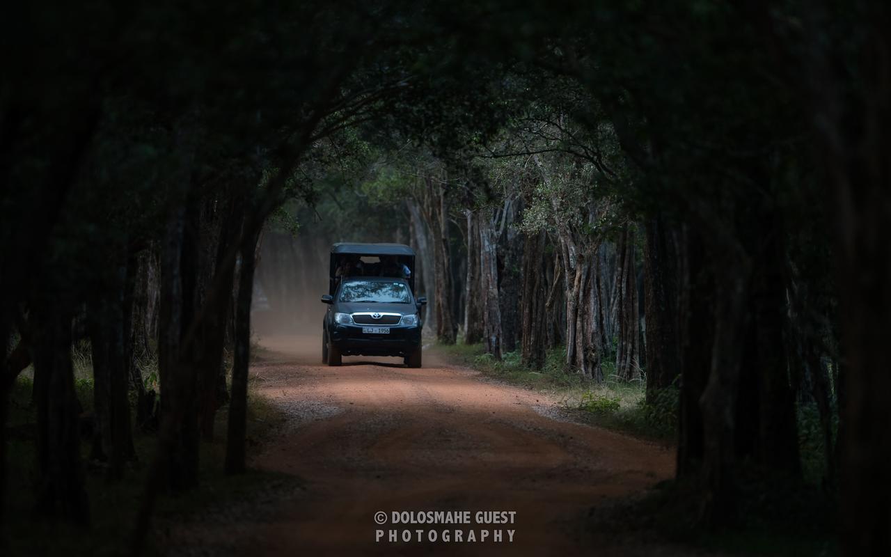 Wilpattu Dolosmahe Esterno foto